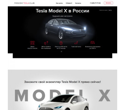 Готовый лендинг: Tesla Model X