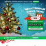 Елки и сосны
