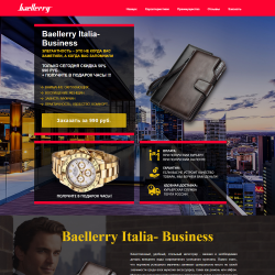 Baellerry Italia-Business 