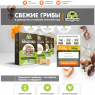 "Грибной сезон" свежие грибы